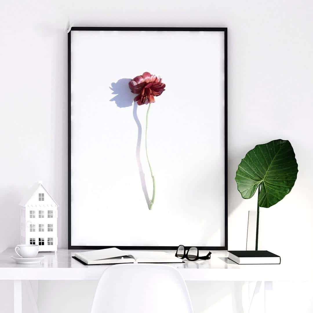 Flowers Artwork | Floral Nature Wall Art | Single, A2 at XILEF Art