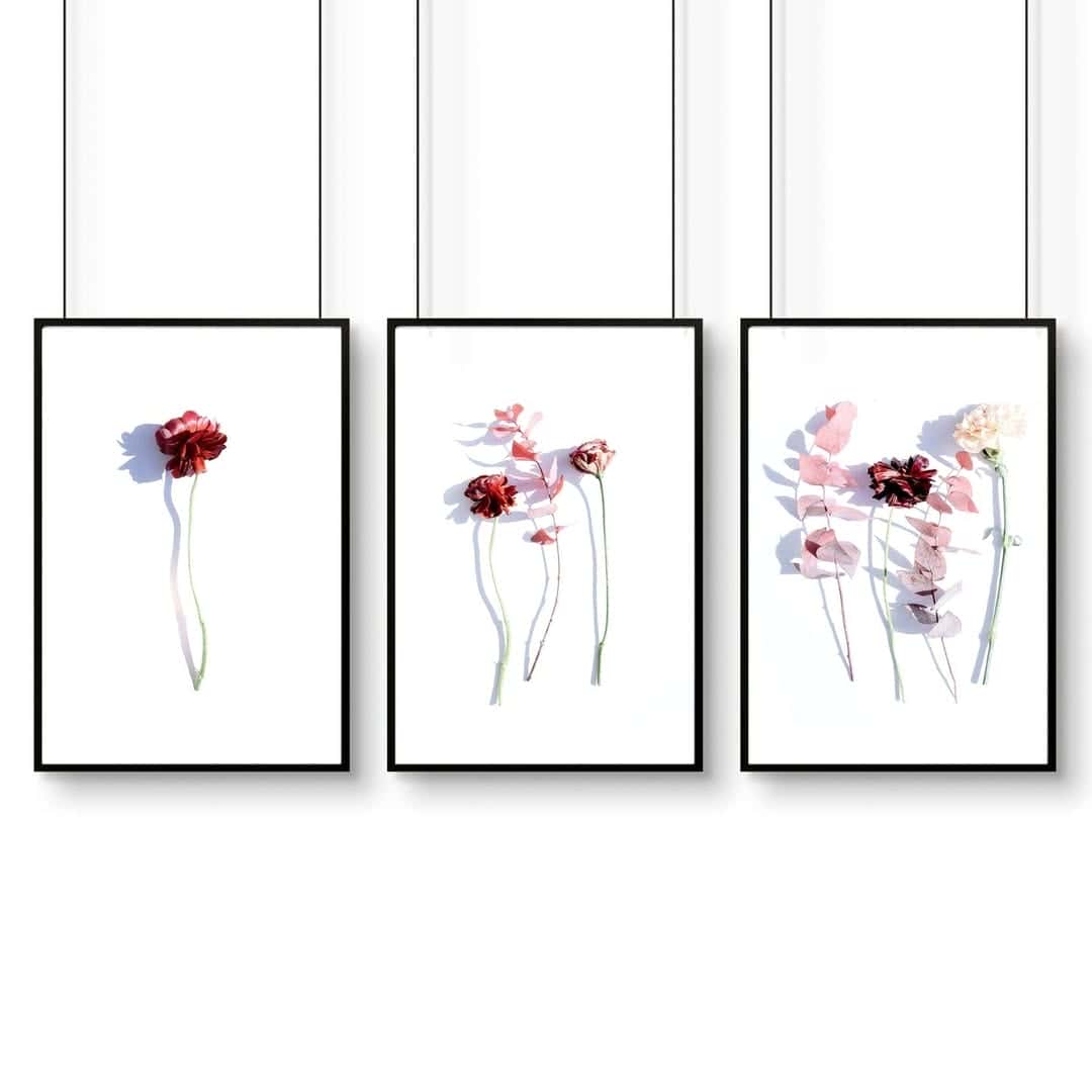 Flowers Artwork | Floral Nature Wall Art | Trio, A2 at XILEF Art